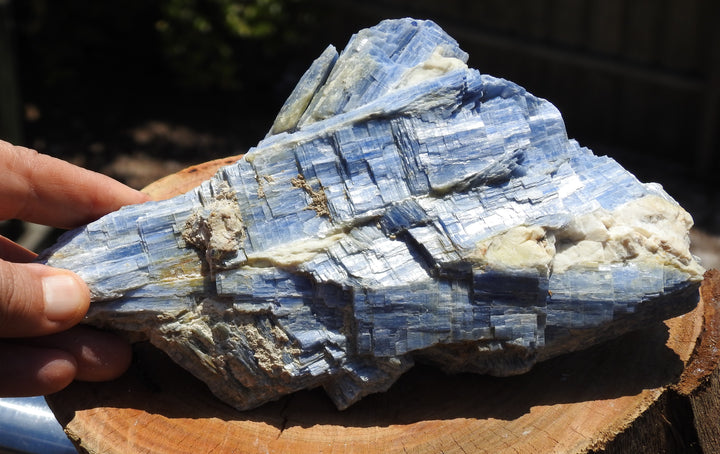 Blue Kyanite (1.150 Kilograms) 18cm