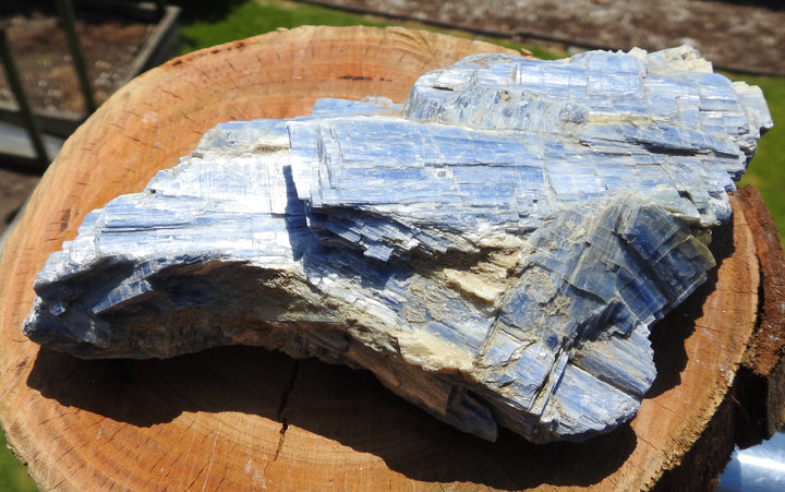 Blue Kyanite (1.150 Kilograms) 18cm