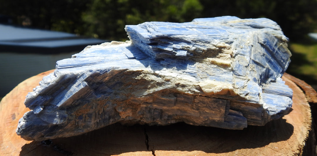 Blue Kyanite (1.150 Kilograms) 18cm