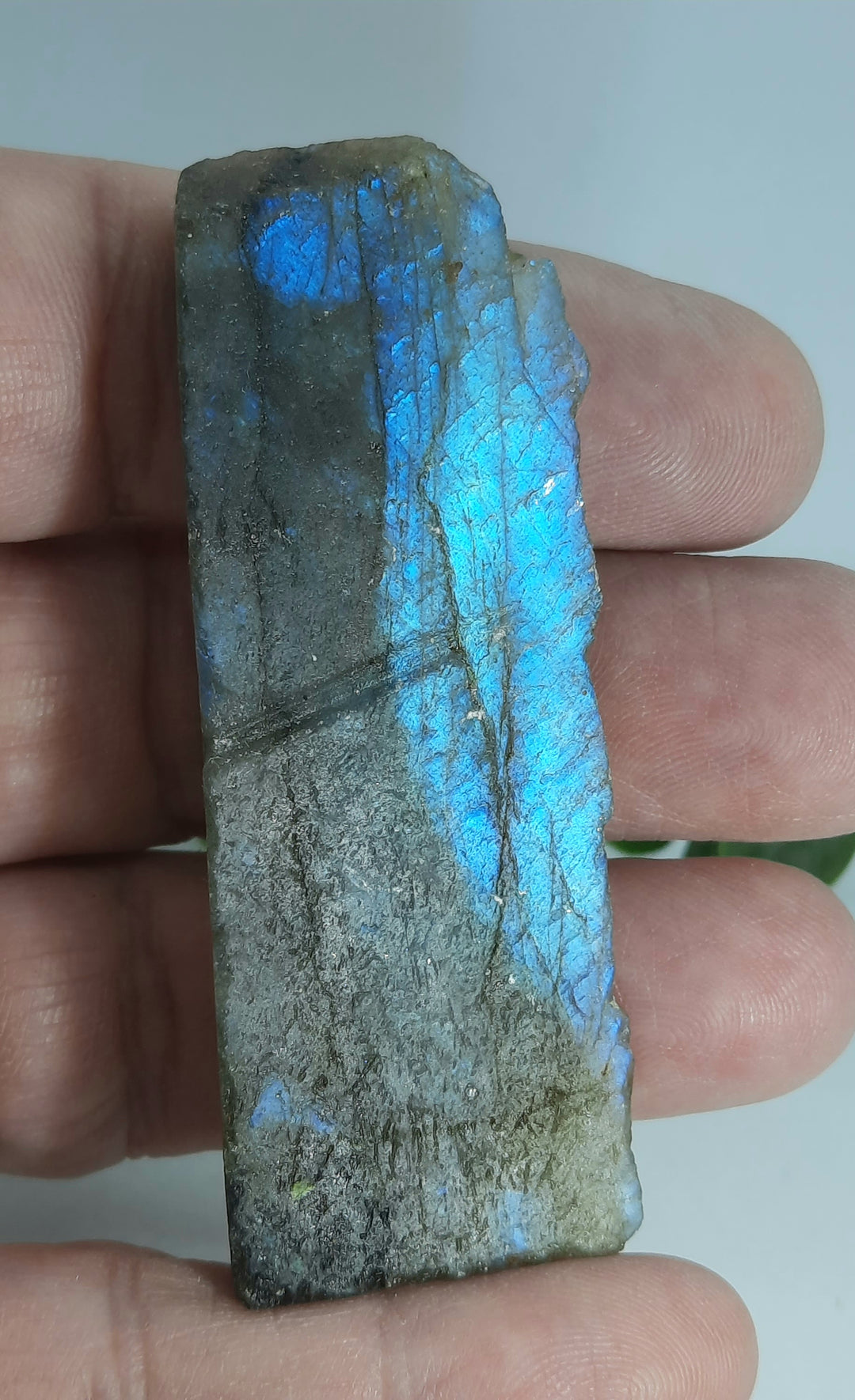 Labradorite (23 grams)