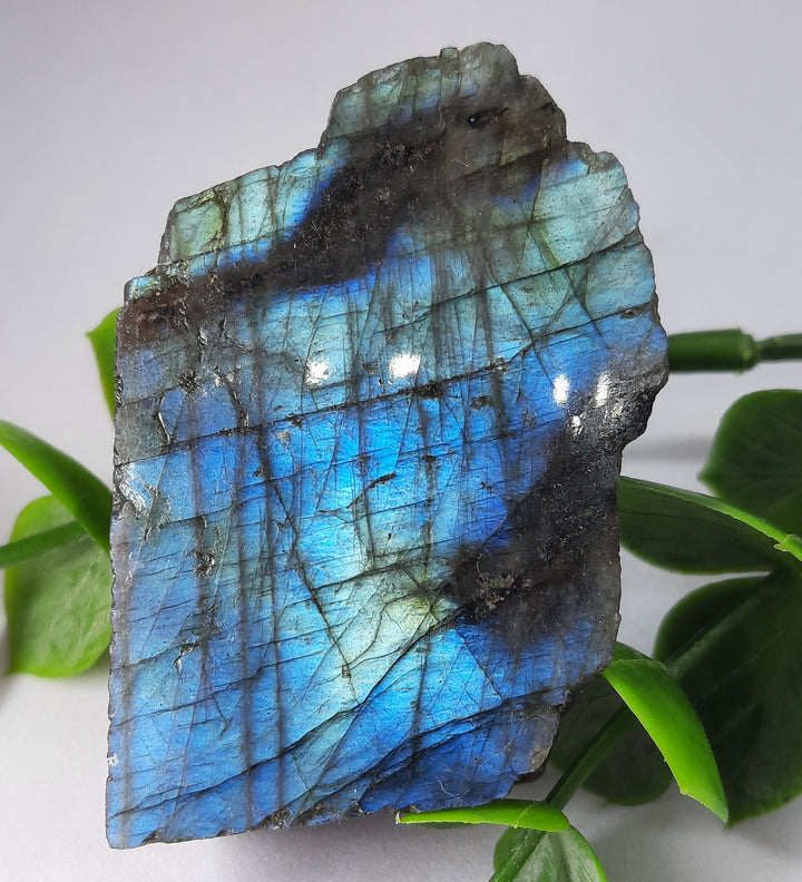 Labradorite (36 grams)