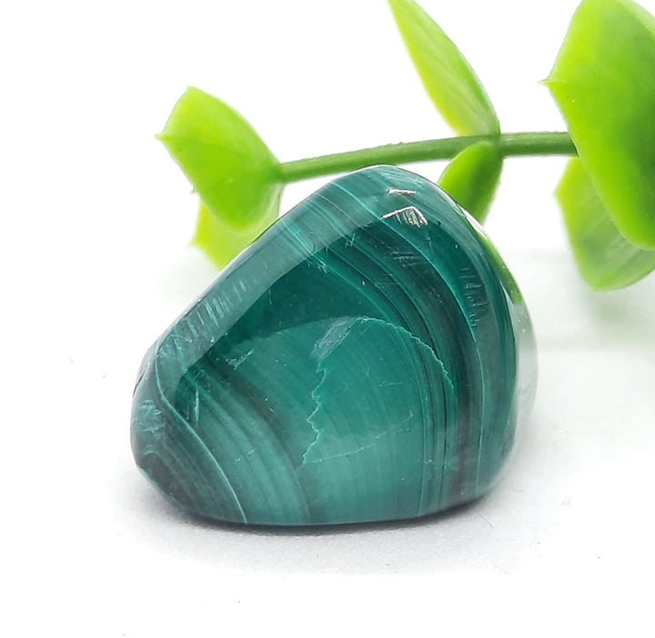 Malachite Tumbler (10g) MAL2