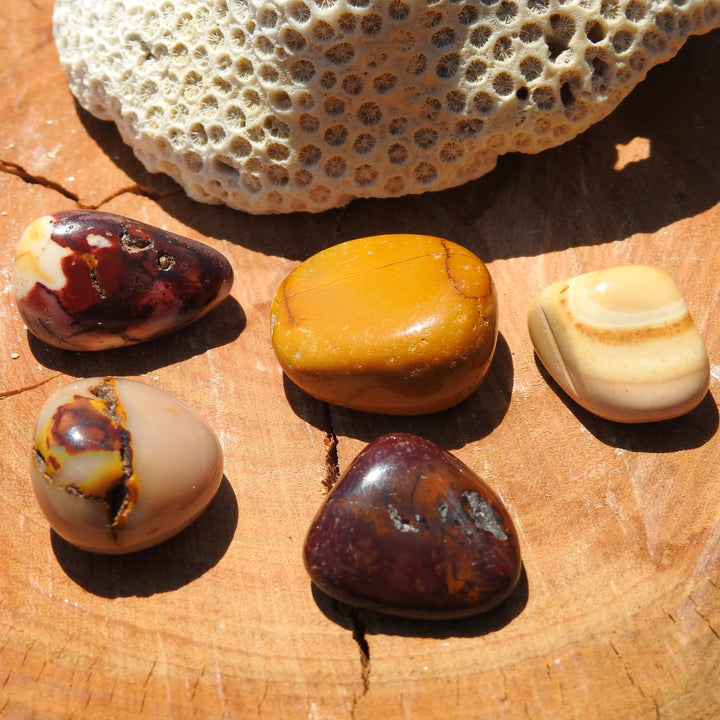 Mookaite Tumbler Stones (Pack of 5)