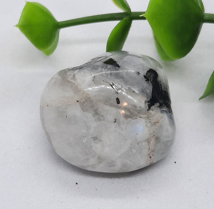 Moonstone Tumbler Stone (7g)