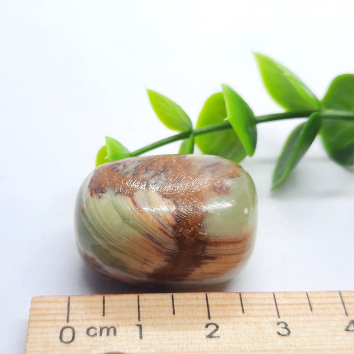 Green Onyx Tumbler Stone (19g) GOX3