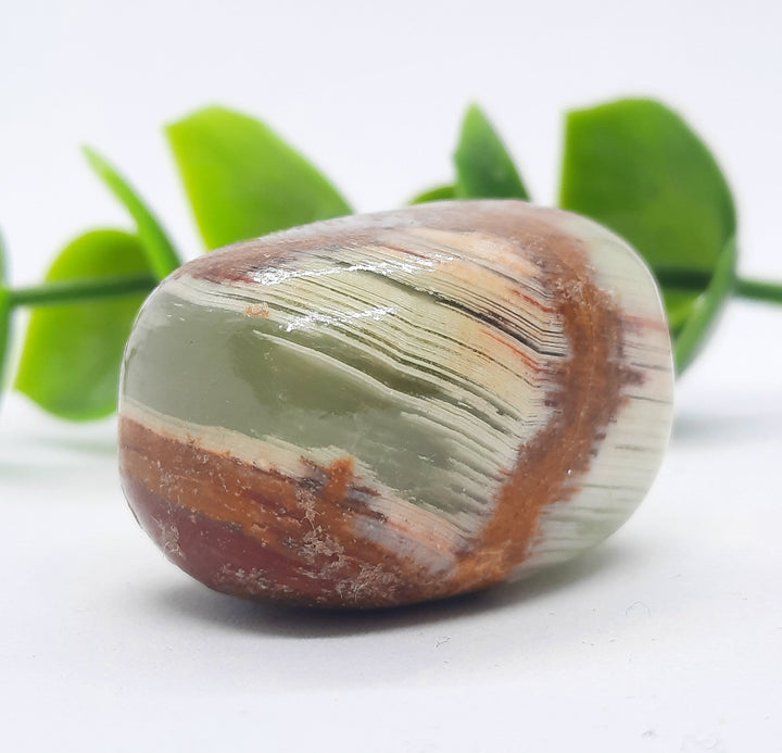 Green Onyx Tumbler Stone (19g) GOX3