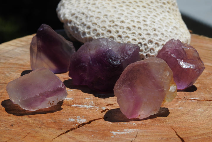 PURPLE FLUORITE (PACK OF 5)