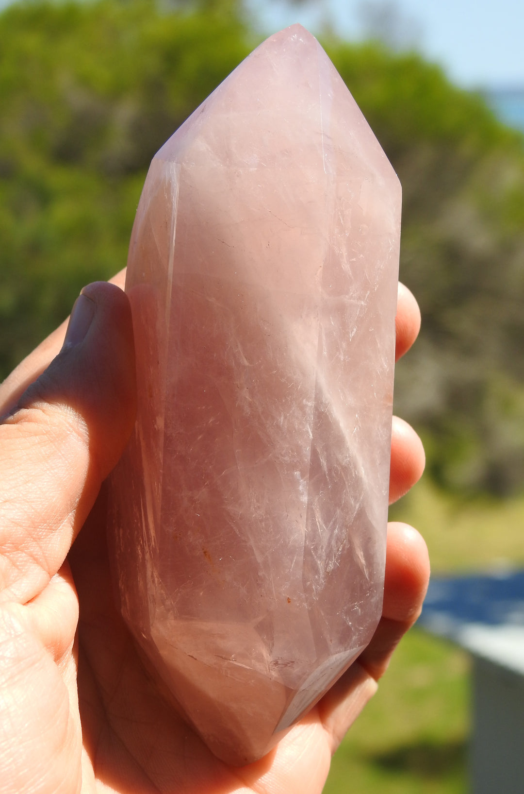 Rose Quartz Double Terminated Point (311 grams)