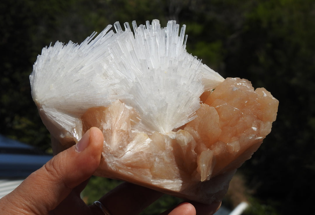 Scolecite On Stilbite 773 grams.