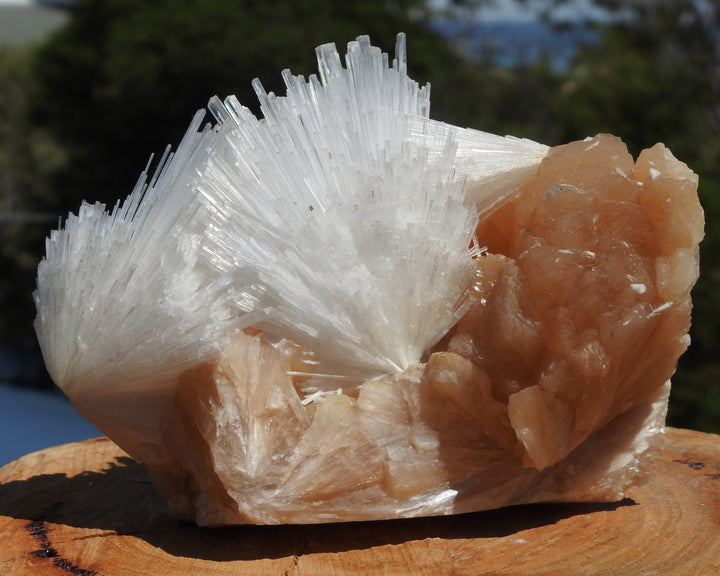 Scolecite On Stilbite 773 grams.