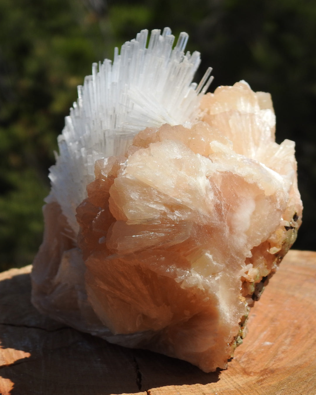 Scolecite On Stilbite 773 grams.