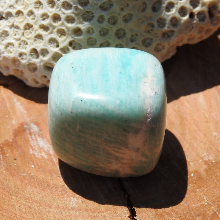 Amazonite Tumbler Stone (25g) AMZ1