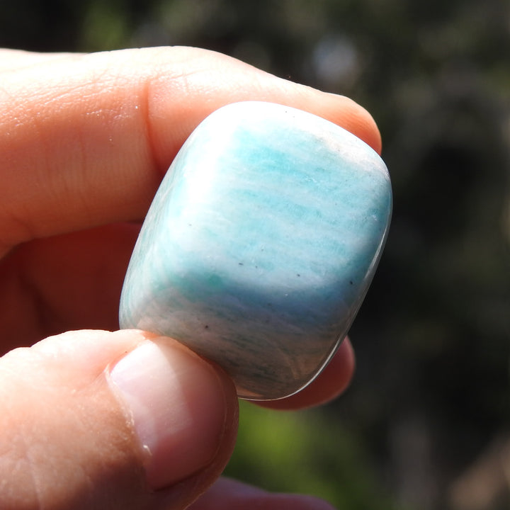 Amazonite Tumbler Stone (25g) AMZ1