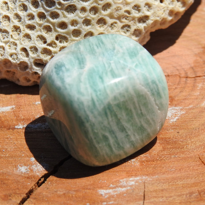 AMAZONITE TUMBLER STONE (25G) AMZ2