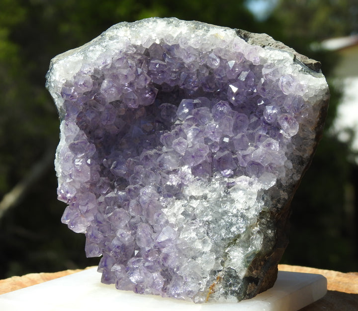 Amethyst Cluster (600g) STZ245