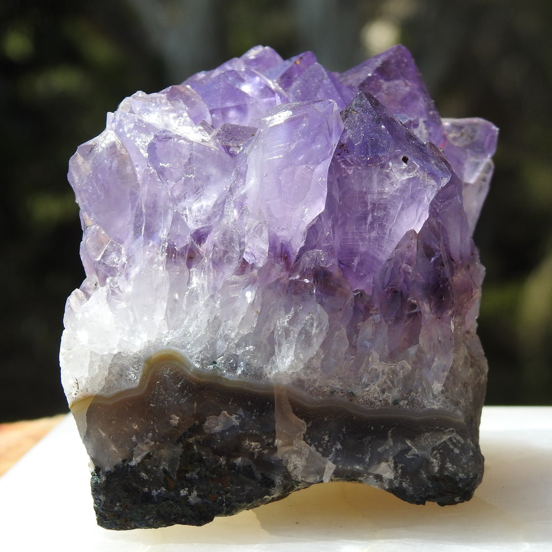 Amethyst Cluster (305g) STZ318