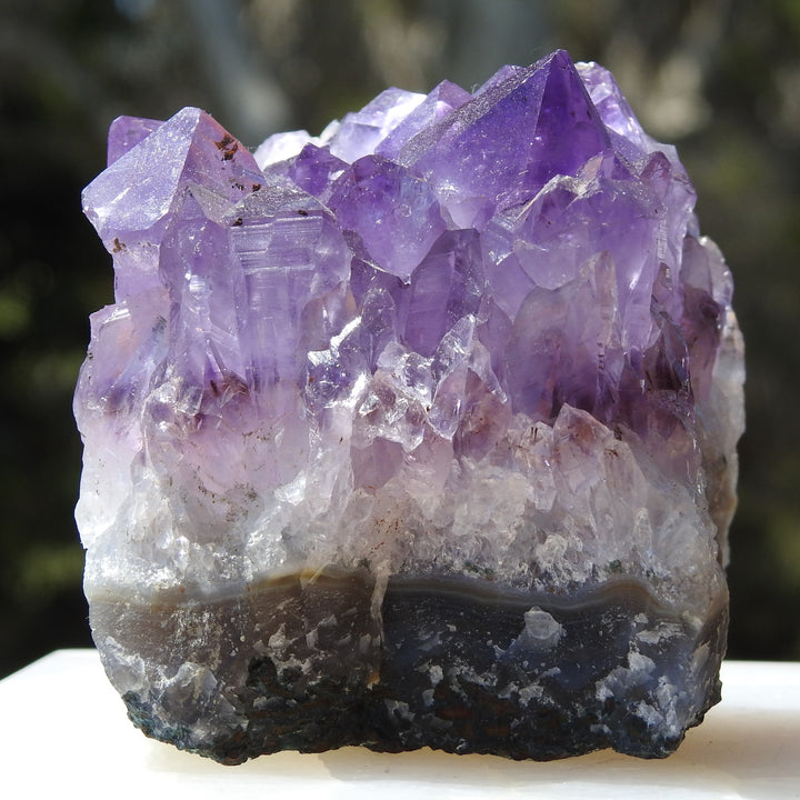 Amethyst Cluster (305g) STZ318