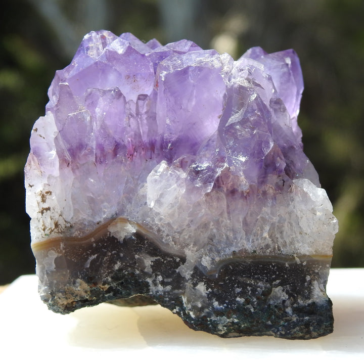 Amethyst Cluster (305g) STZ318