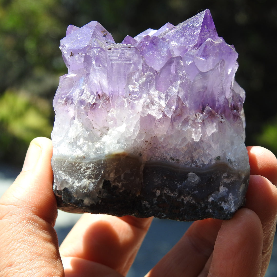 Amethyst Cluster (305g) STZ318