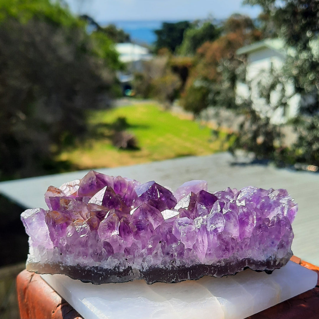 Amethyst Cluster (318g) STZ311