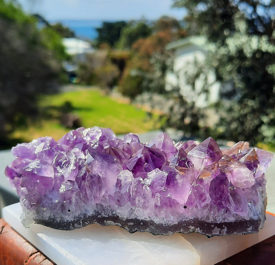 Amethyst Cluster (318g) STZ311