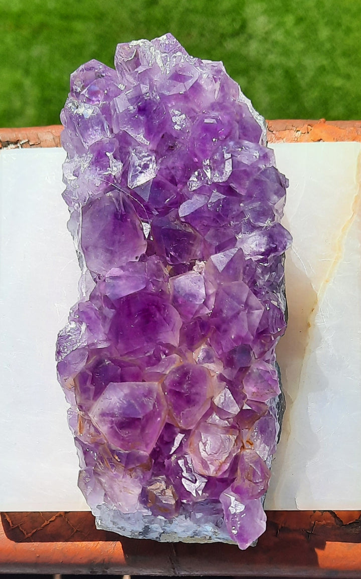 Amethyst Cluster (318g) STZ311