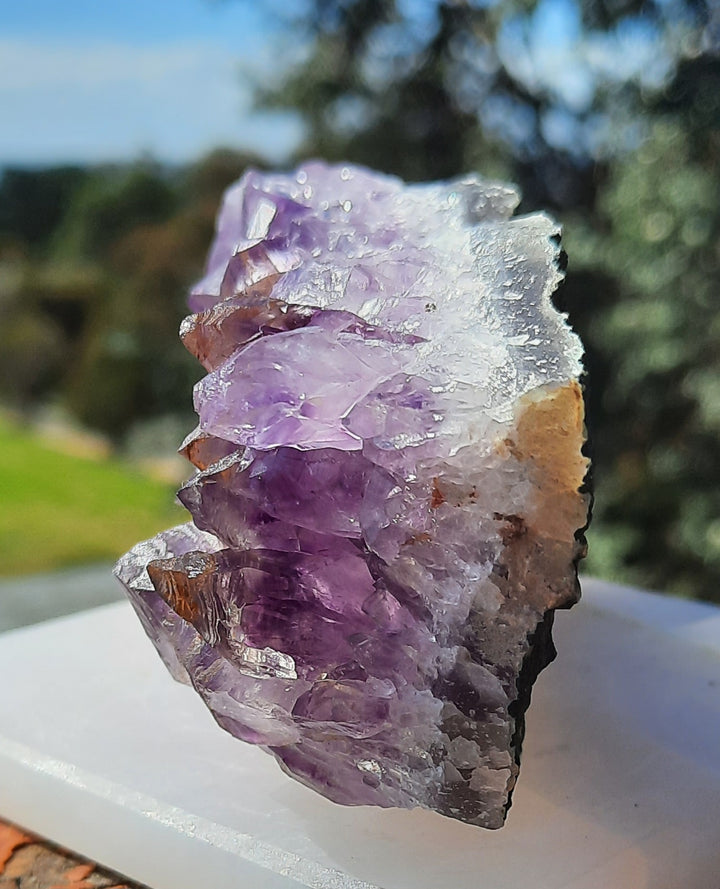 Amethyst Cluster (318g) STZ311