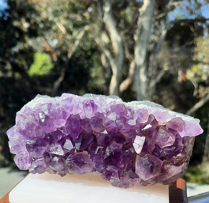 Amethyst Cluster (318g) STZ311