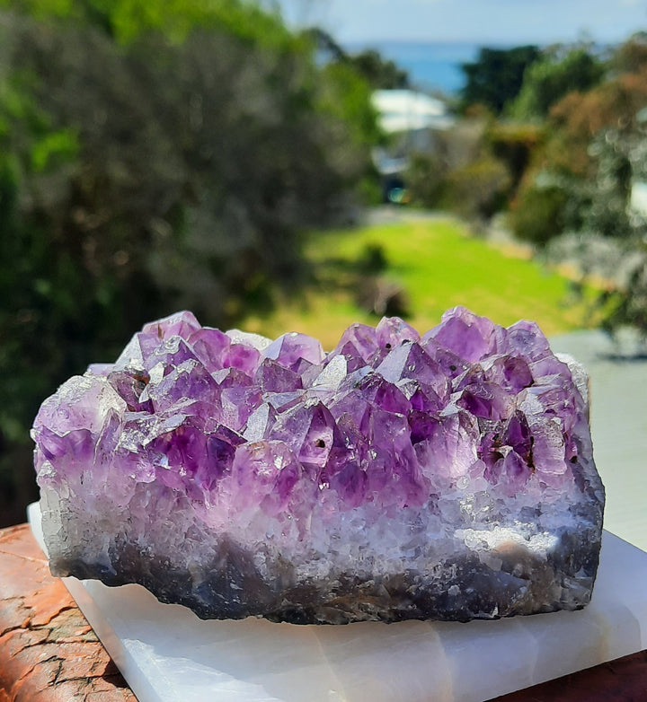 Amethyst Cluster (370g) STZ314