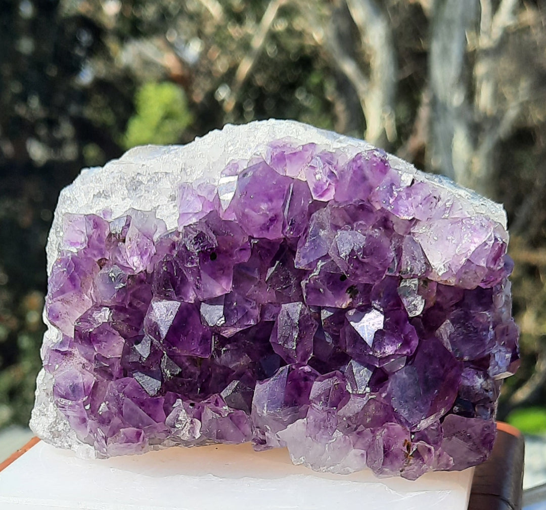 Amethyst Cluster (370g) STZ314