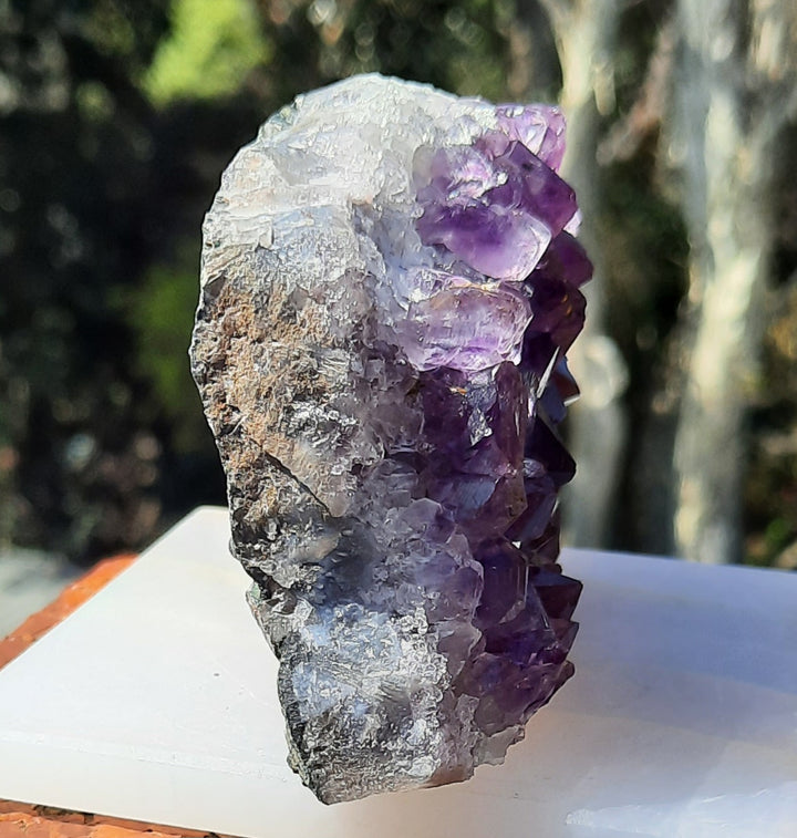 Amethyst Cluster (370g) STZ314