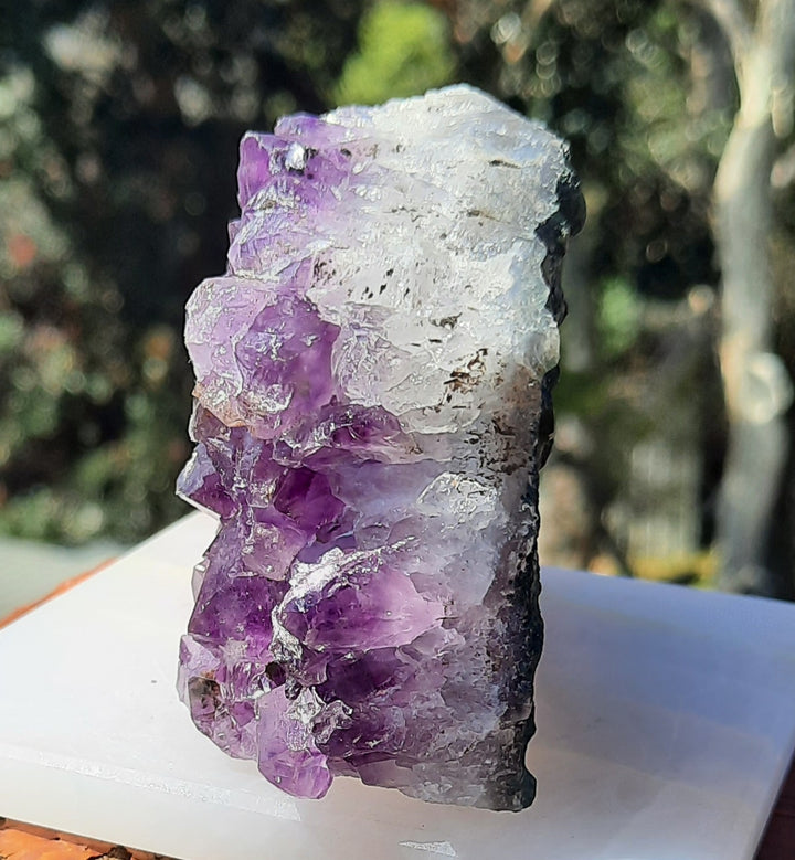 Amethyst Cluster (370g) STZ314