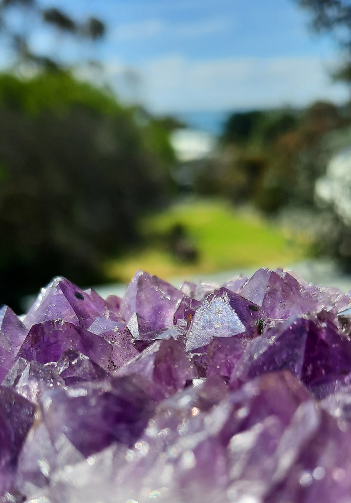 Amethyst Cluster (370g) STZ314