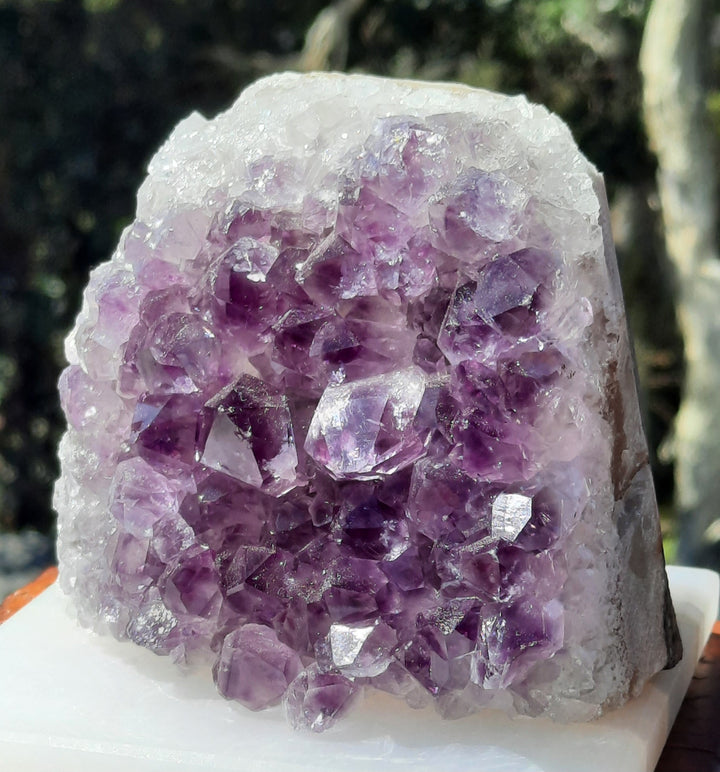 Amethyst Cluster (616 grams)STZ702