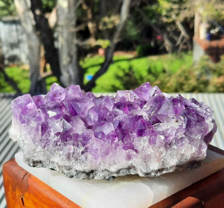 Amethyst Cluster (502g) STZ312