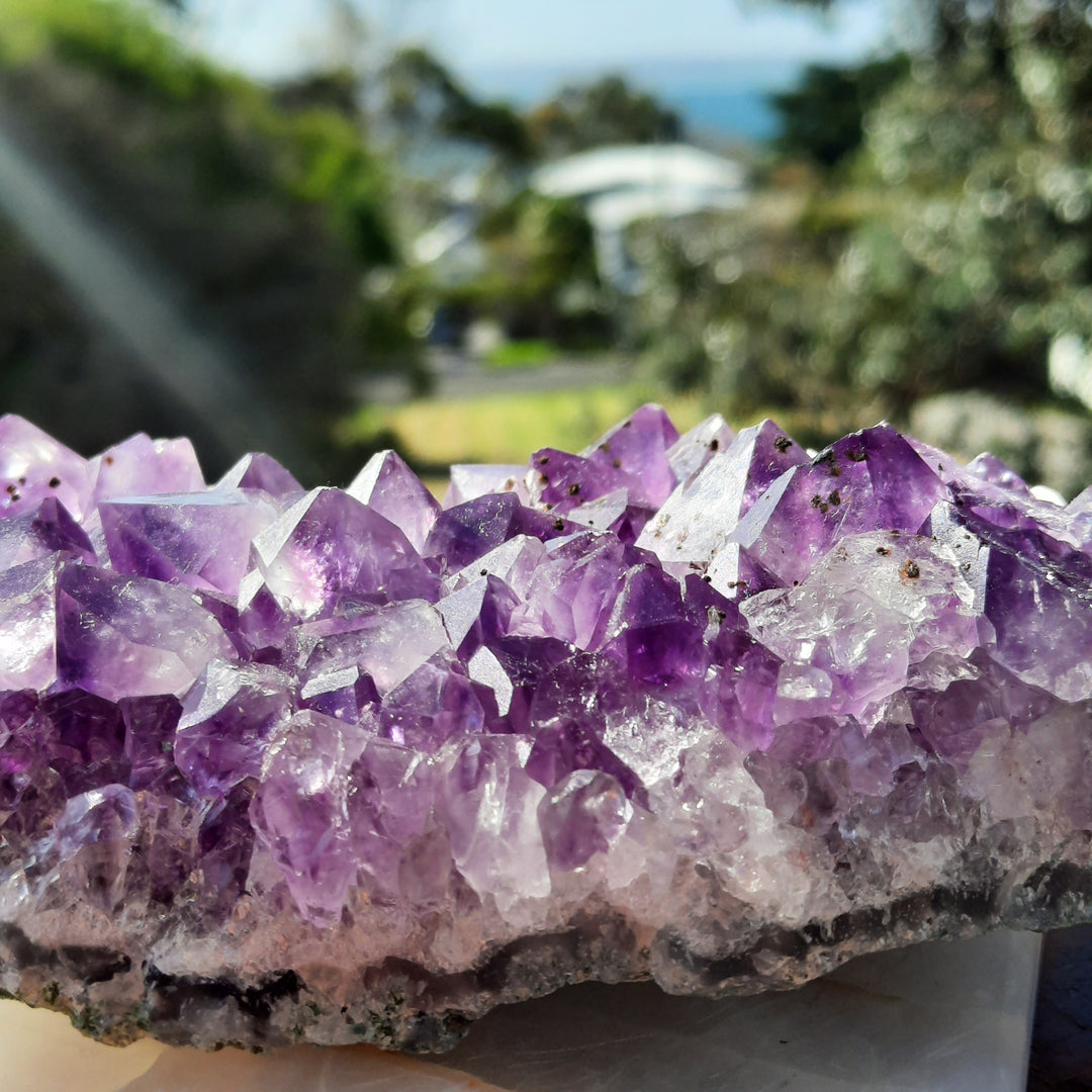 Amethyst Cluster (502g) STZ312