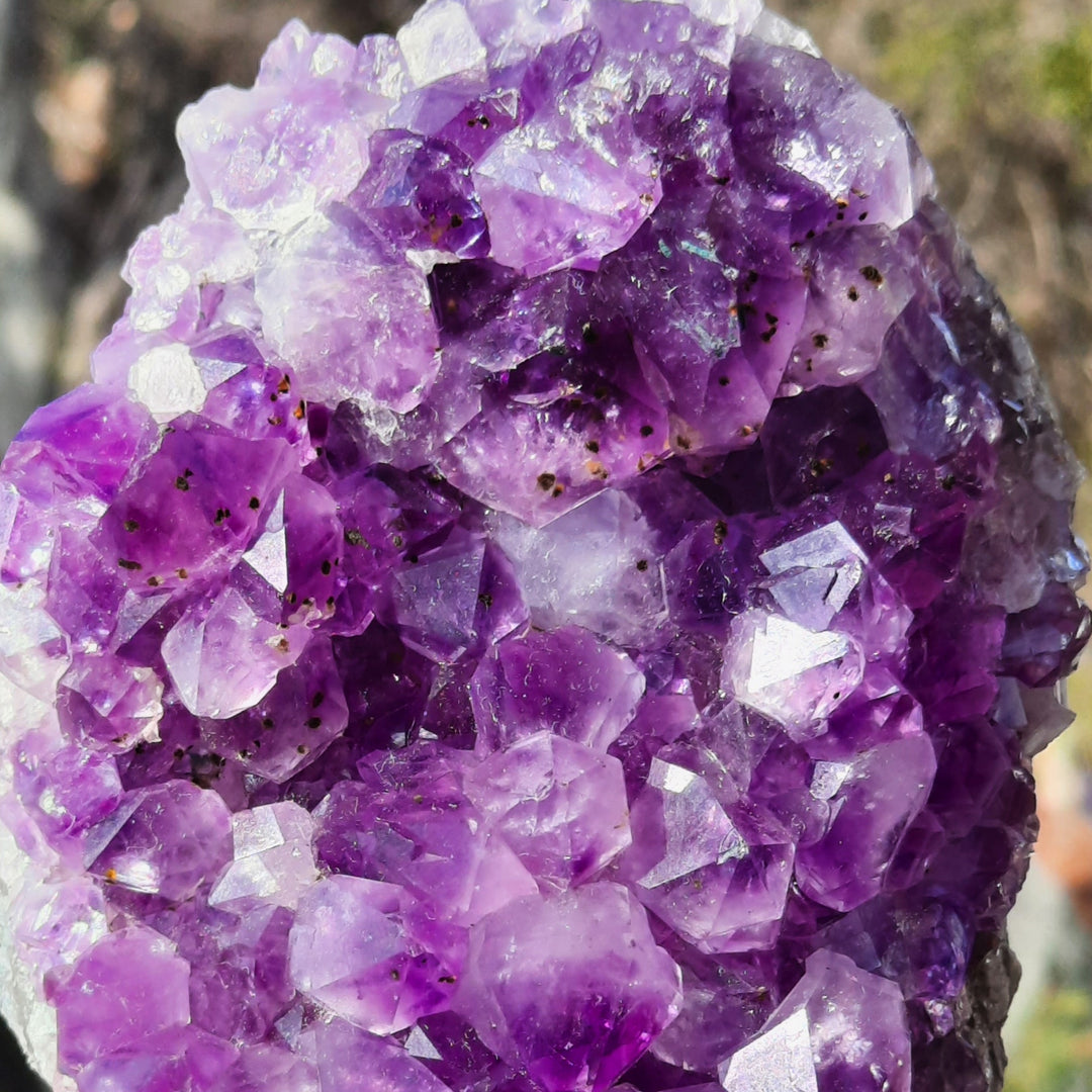 Amethyst Cluster (502g) STZ312