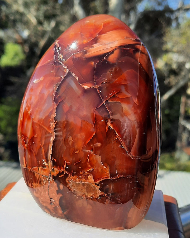 Carnelian Polished (570g) STZ561