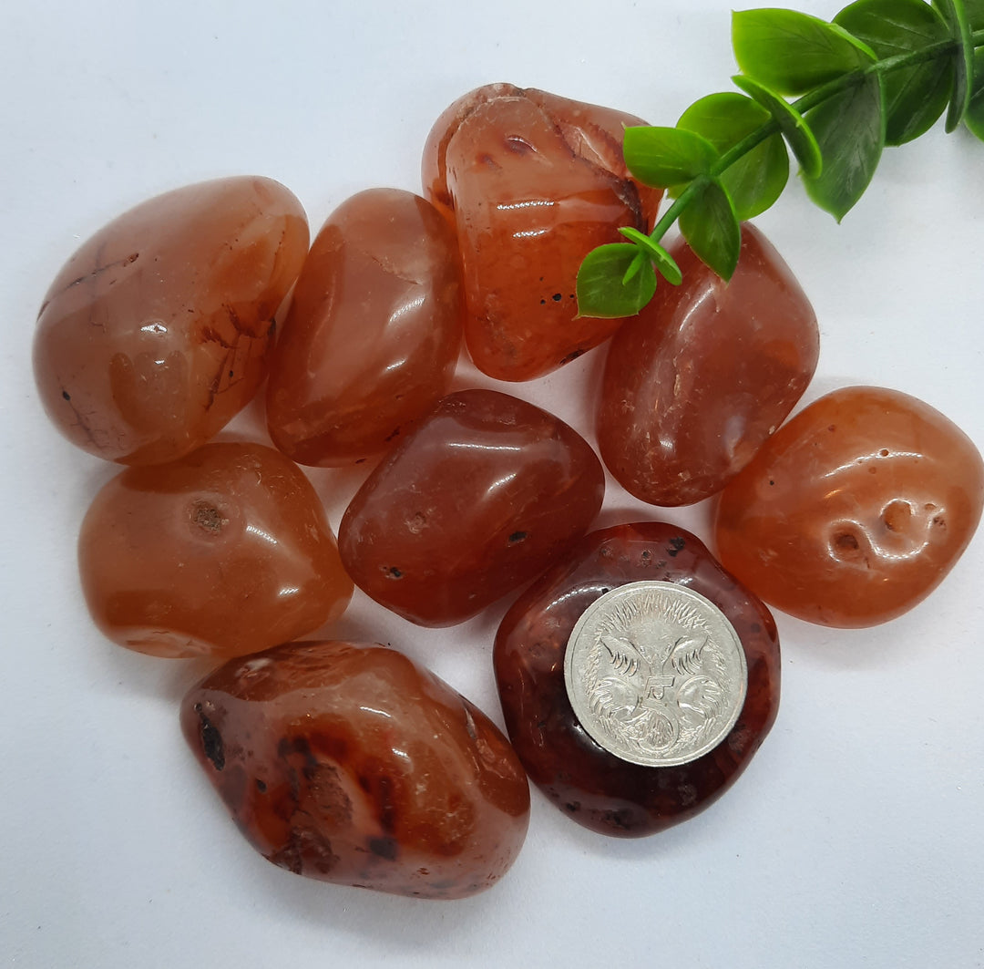 Carnelian Tumblers Large