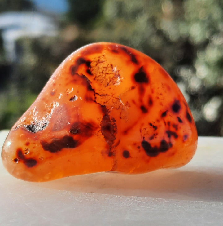 Carnelian Tumble Stone (32g) CRN4