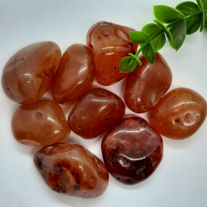 Carnelian Tumblers Large