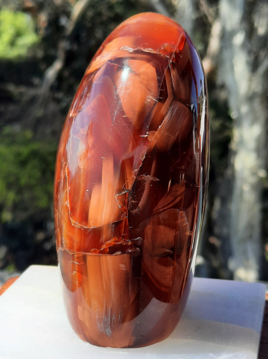 Carnelian Polished (570g) STZ561