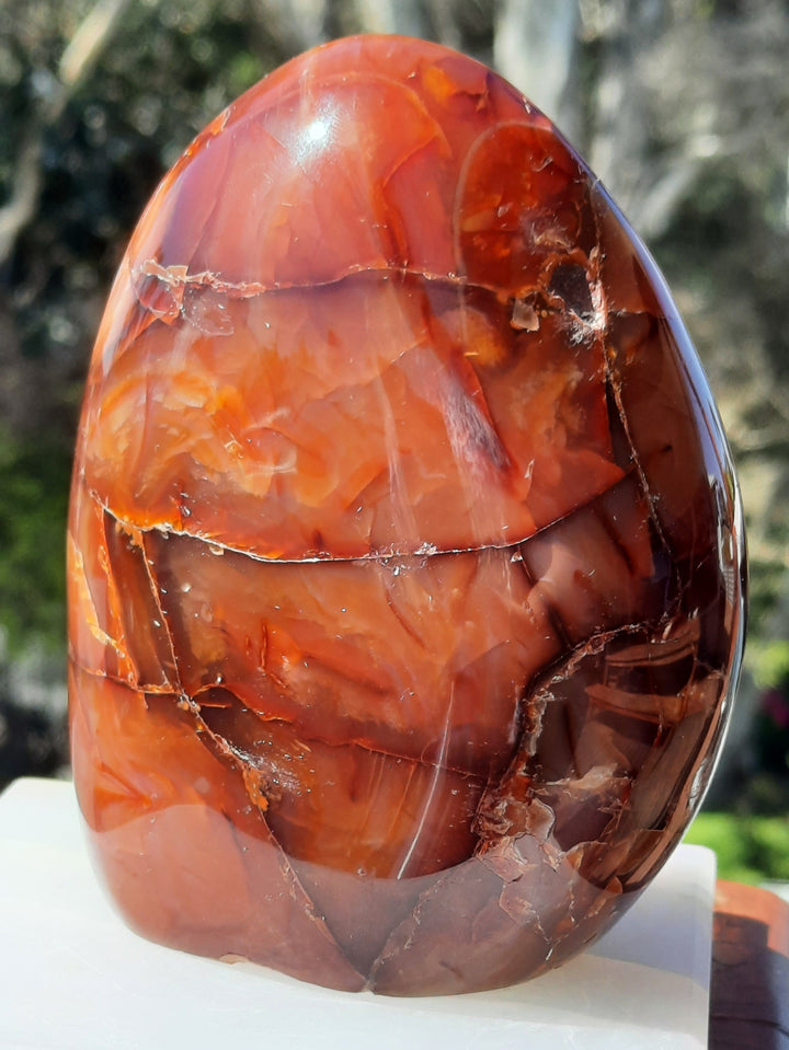 Carnelian Polished (570g) STZ561