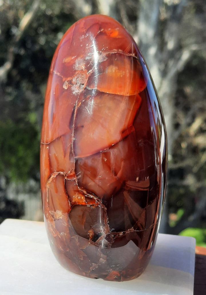 Carnelian Polished (570g) STZ561