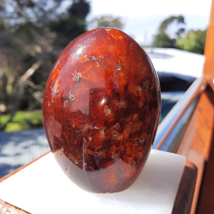 Carnelian (489 grams) STZ17