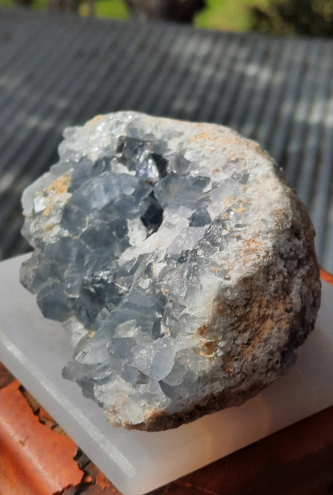 Celestite (655 grams)