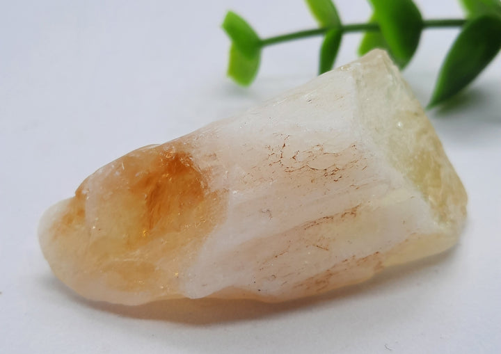 Citrine Rough (31g) CIR1