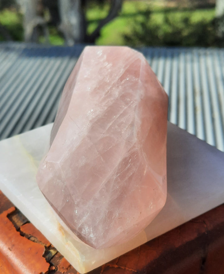 Rose Quartz Double Terminated Point (396 grams)