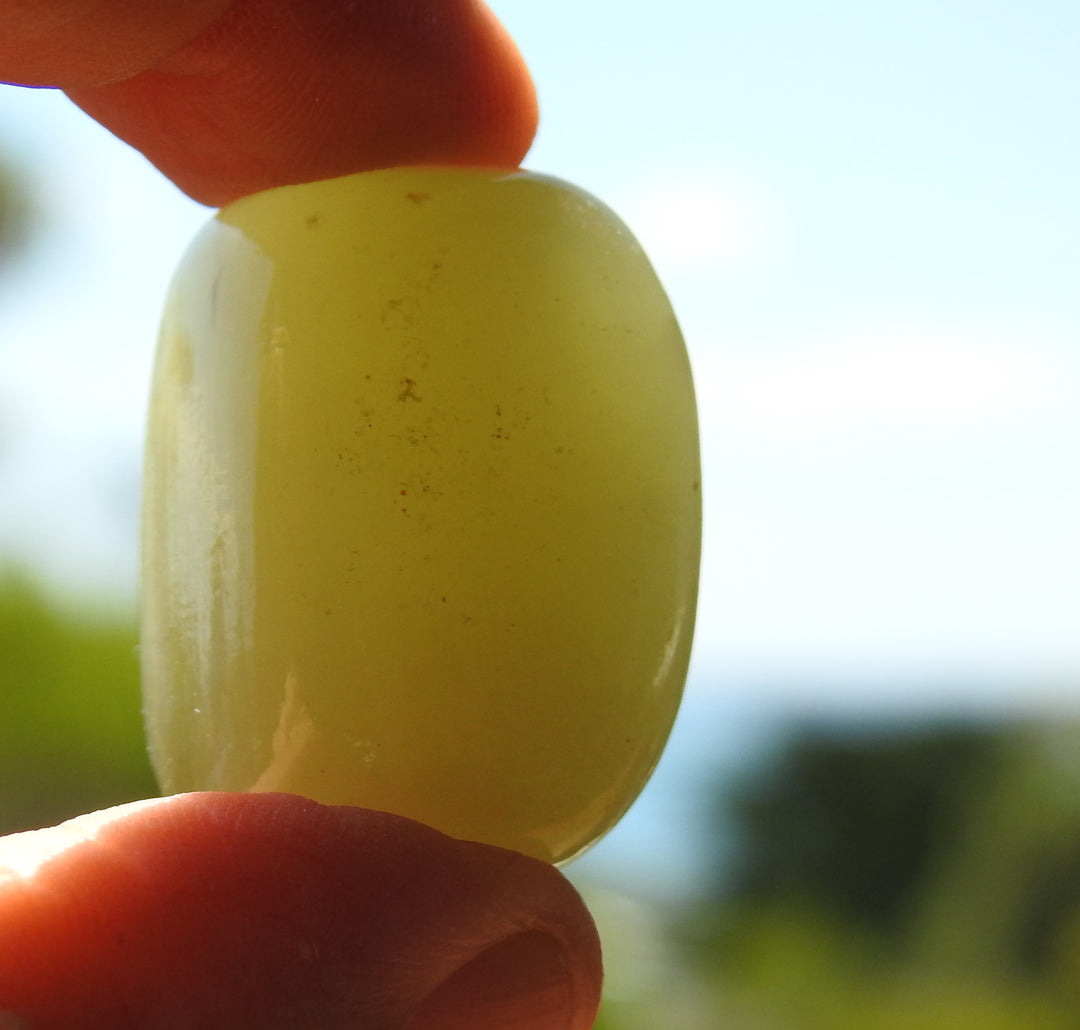 Green Onyx Tumbler Stone (11g) GOX4