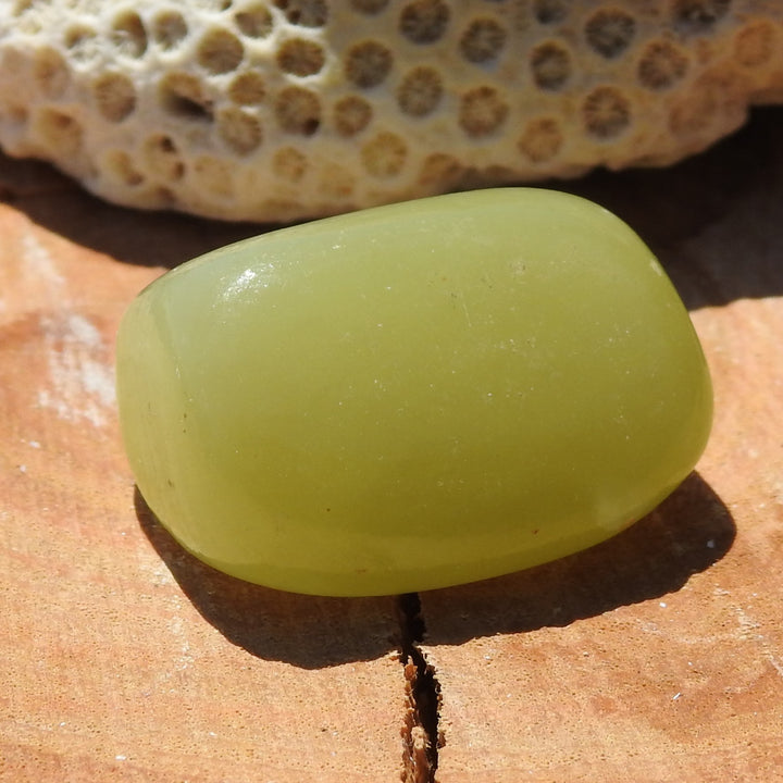 Green Onyx Tumbler Stone (11g) GOX4